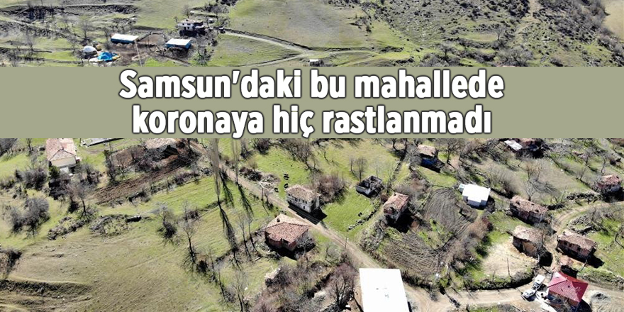 Samsun'daki bu mahallede koronaya hiç rastlanmadı