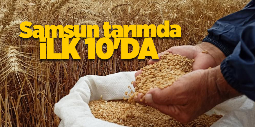 Samsun tarımda ilk 10'da - samsun haber