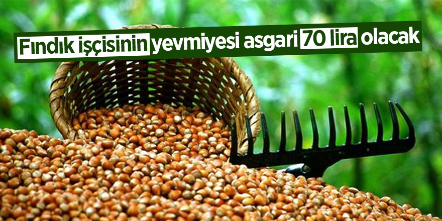 Fındık işçisinin yevmiyesi asgari 70 lira olacak