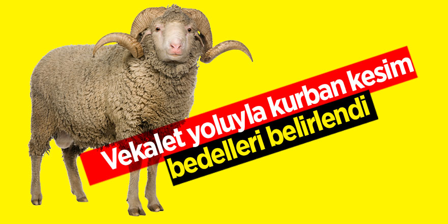 Vekalet yoluyla kurban kesim bedelleri belirlendi