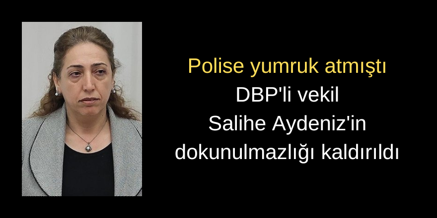 Polise yumruk atmıştı! Vekil Aydeniz'in dokunulmazlığı kaldırıldı