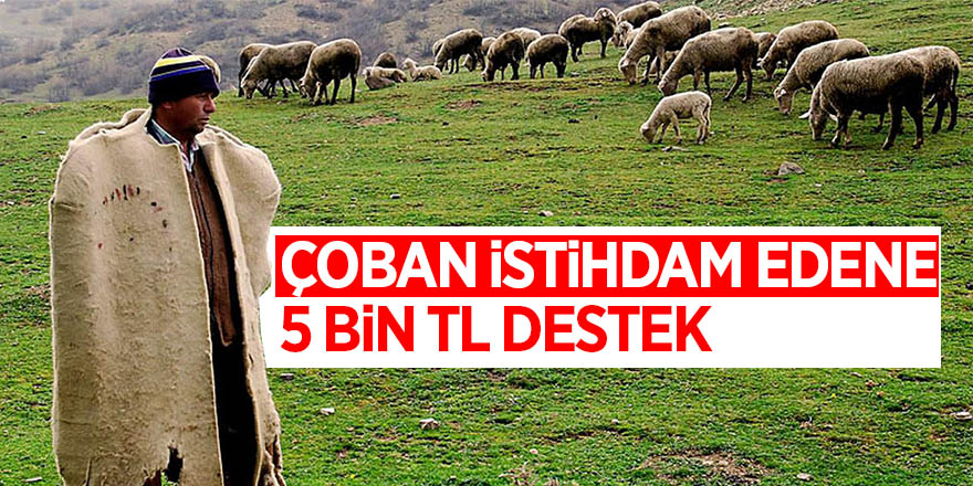 Çoban istihdam edene 5 bin TL destek