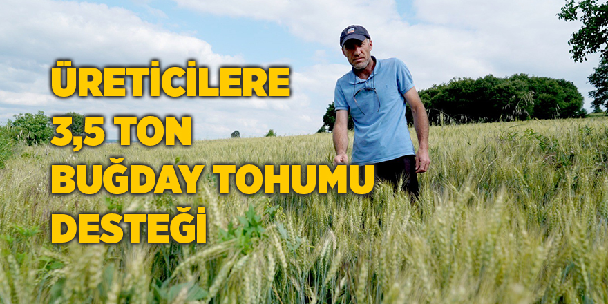 Üreticilere 3,5 ton buğday tohumu desteği - samsun haber