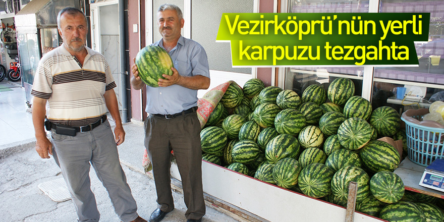 Vezirköprü'nün yerli karpuzu tezgahta