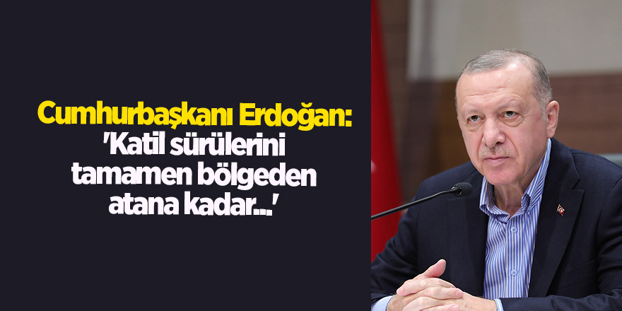 Cumhurbaşkanı Erdoğan: 'Katil sürülerini tamamen bölgeden atana kadar...'