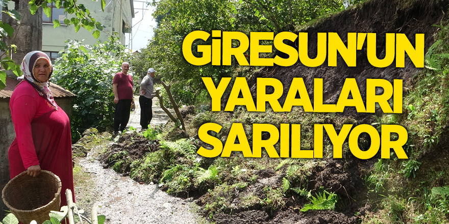 Giresun'un yaraları sarılıyor