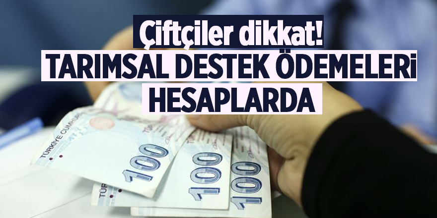 Çiftçiler dikkat! Tarımsal destek ödemeleri hesaplarda