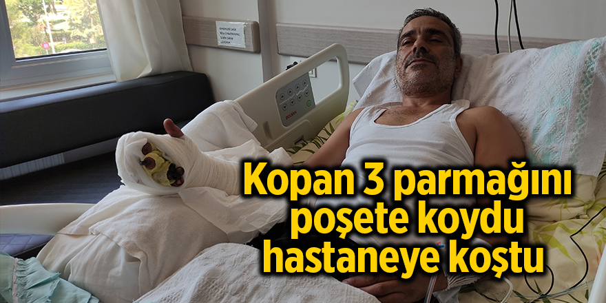 Kopan 3 parmağını poşete koydu hastaneye koştu 