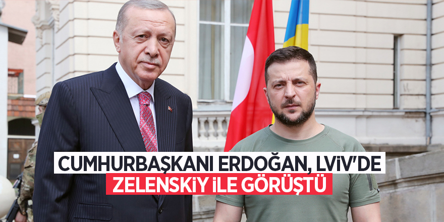 Cumhurbaşkanı Erdoğan, Lviv'de Zelenskiy ile görüştü