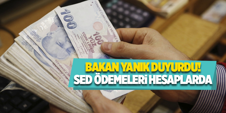 Bakan Yanık duyurdu! SED ödemeleri hesaplarda