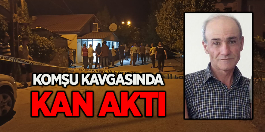 Komşu kavgasında kan aktı