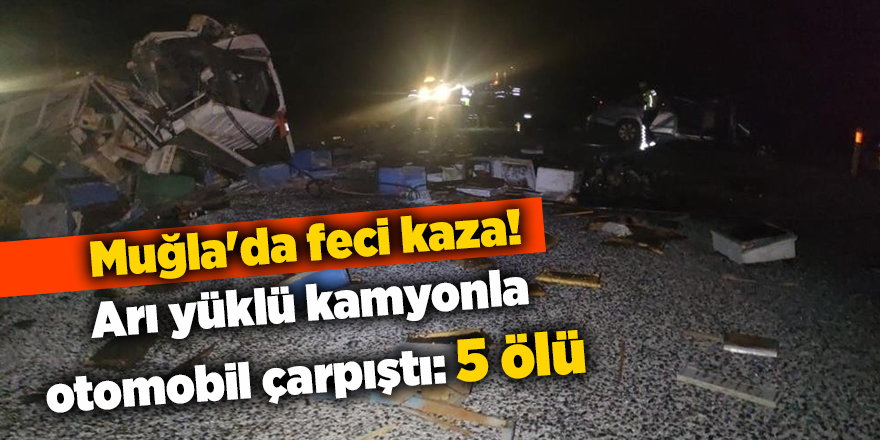 Muğla'da feci kaza! Arı yüklü kamyonla otomobil çarpıştı: 5 ölü