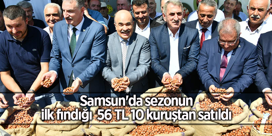 Samsun'da sezonun ilk fındığı  56 TL 10 kuruştan satıldı - samsun haber