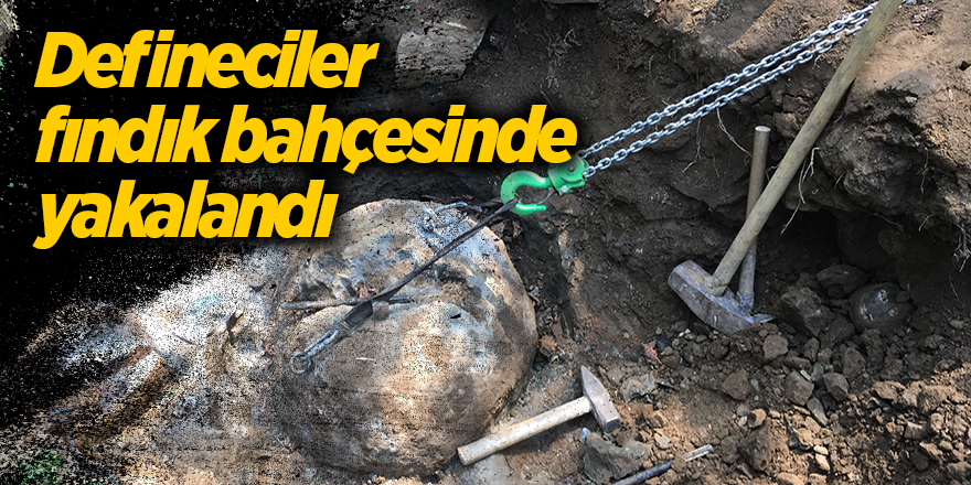 Defineciler fındık bahçesinde yakalandı