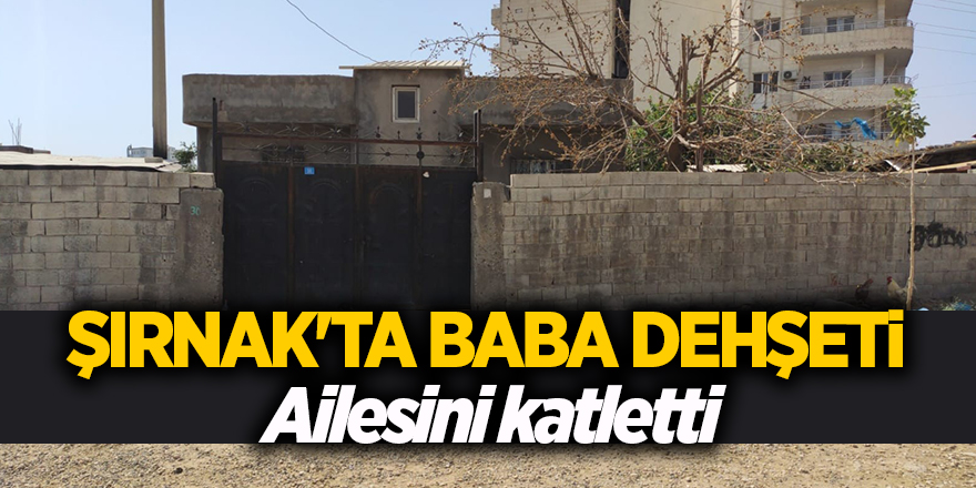 Şırnak'ta baba dehşeti!  Ailesini katletti