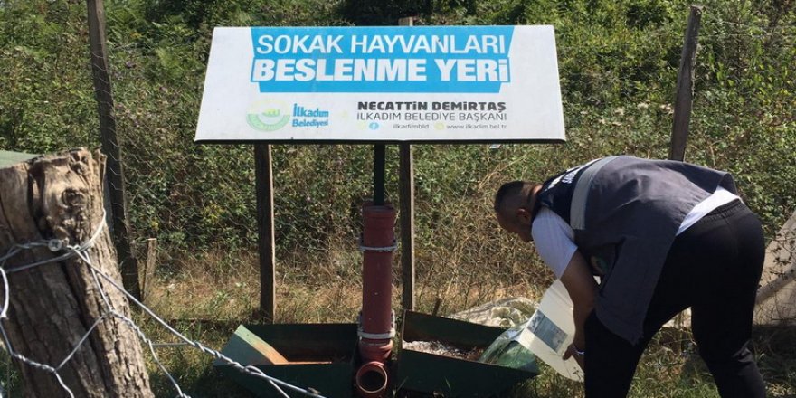 İlkadım Belediyesi can dostları unutmuyor - samsun haber