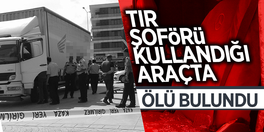 Tır şoförü kullandığı araçta ölü bulundu 