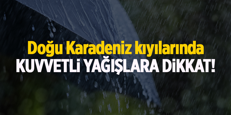 Doğu Karadeniz kıyılarında kuvvetli yağışlara dikkat!