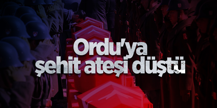 Ordu'ya şehit ateşi düştü