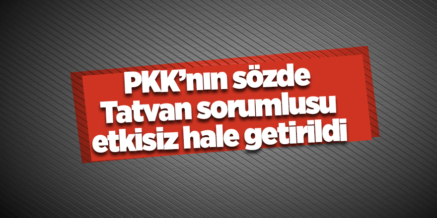 PKK’nın sözde Tatvan sorumlusu etkisiz hale getirildi