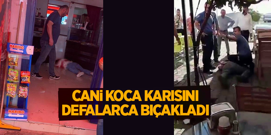 Cani koca karısını defalarca bıçakladı