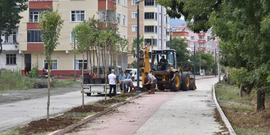 Tekkeköy yürüyüş yoluna kavuşuyor - samsun haber