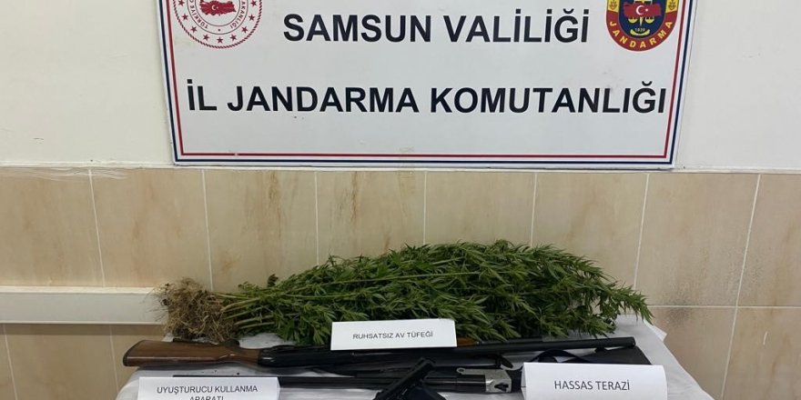 Jandarmadan uyuşturucu operasyonu Baba-oğula gözaltı - samsun haber