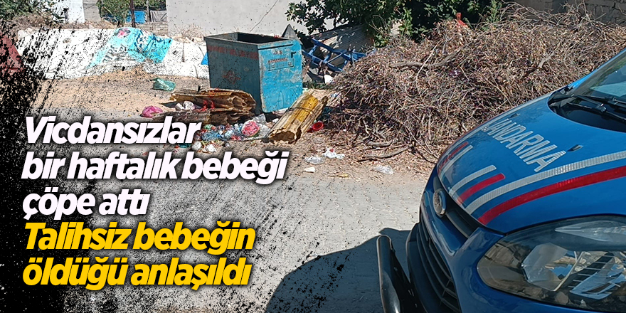 Vicdansızlar bir haftalık bebeği çöpe attı! Talihsiz bebeğin öldüğü anlaşıldı