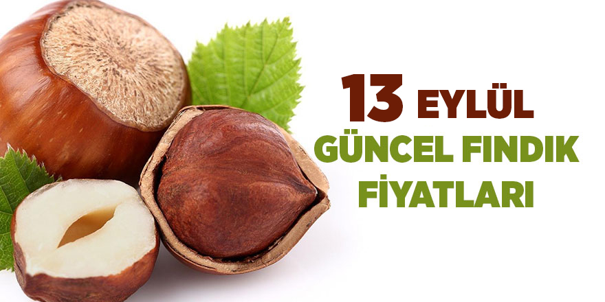 13 Eylül güncel fındık fiyatları