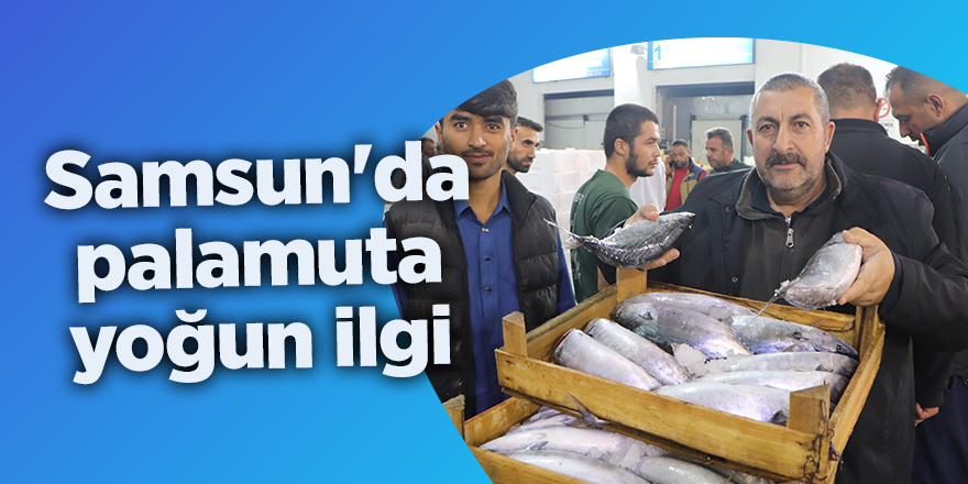 Samsun'da palamuta yoğun ilgi - samsun haber