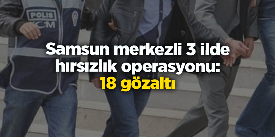 Samsun merkezli 3 ilde hırsızlık operasyonu: 18 gözaltı