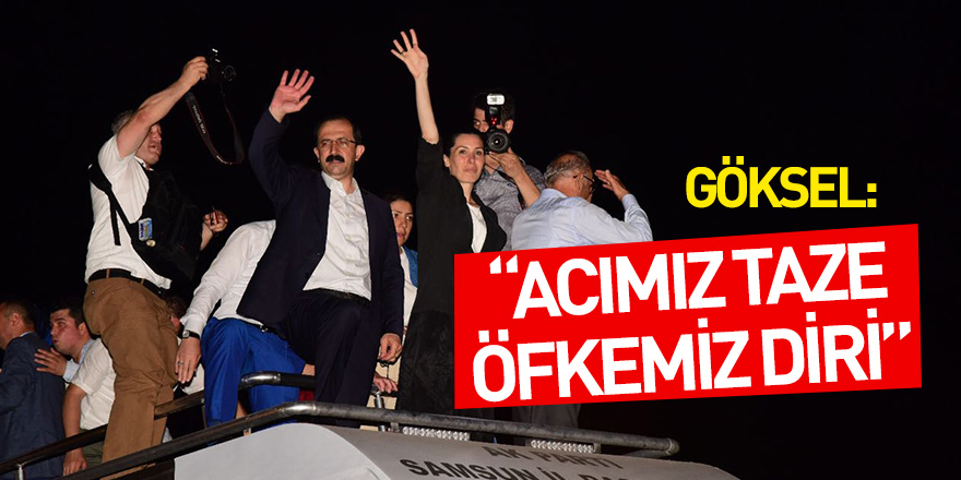 Göksel: Acımız taze öfkemiz diri