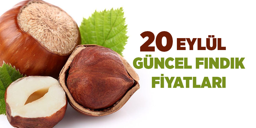 20 Eylül güncel fındık fiyatları