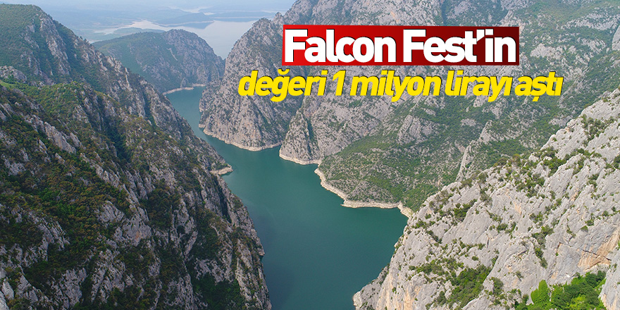 Falcon Fest’in değeri 1 milyon lirayı aştı