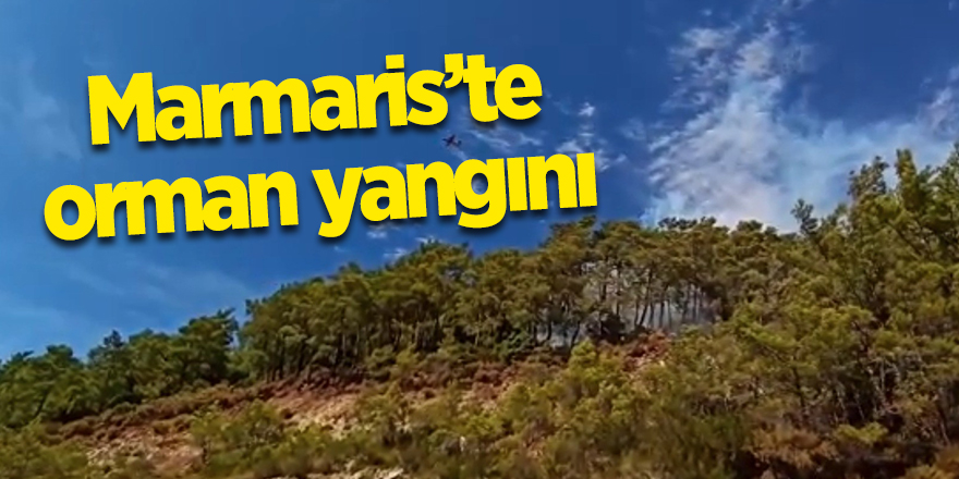 Marmaris’te orman yangını