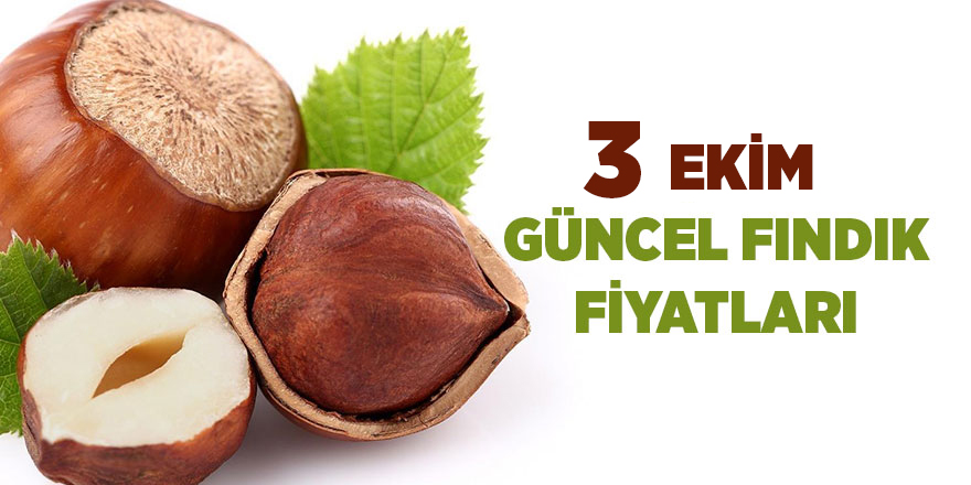 3 Ekim güncel fındık fiyatları