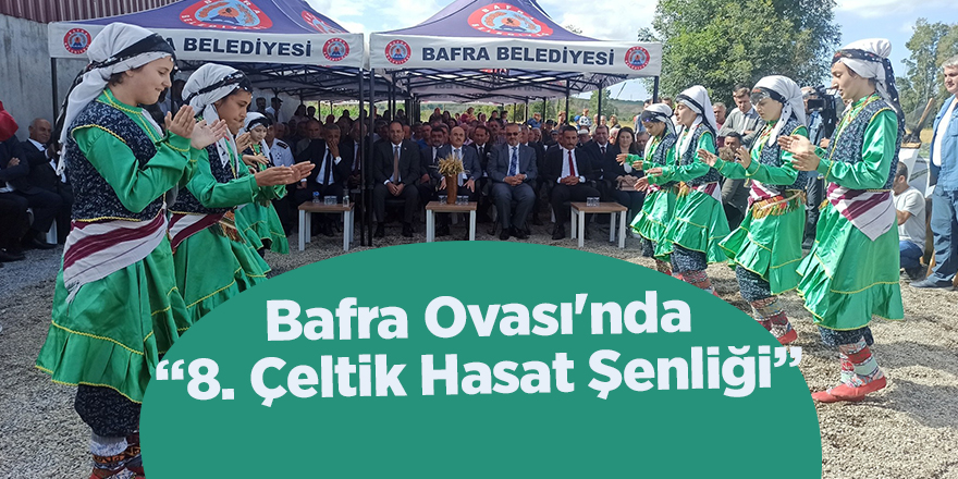 Bafra Ovası'nda “8. Çeltik Hasat Şenliği” - samsun haber