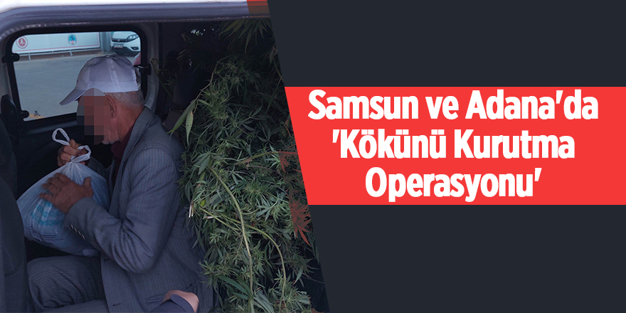 Samsun ve Adana'da 'Kökünü Kurutma Operasyonu'