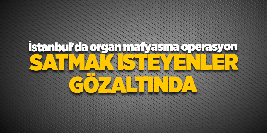 İstanbul'da organ mafyasına operasyon!  Satmak isteyenler gözaltında