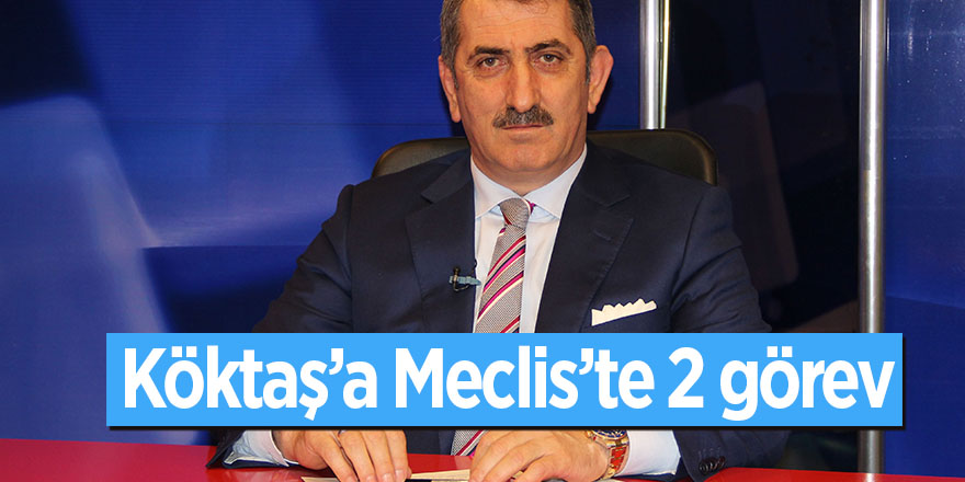 Köktaş'a mecliste 2 görev