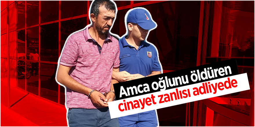 Amca oğlunu öldüren cinayet zanlısı adliyede