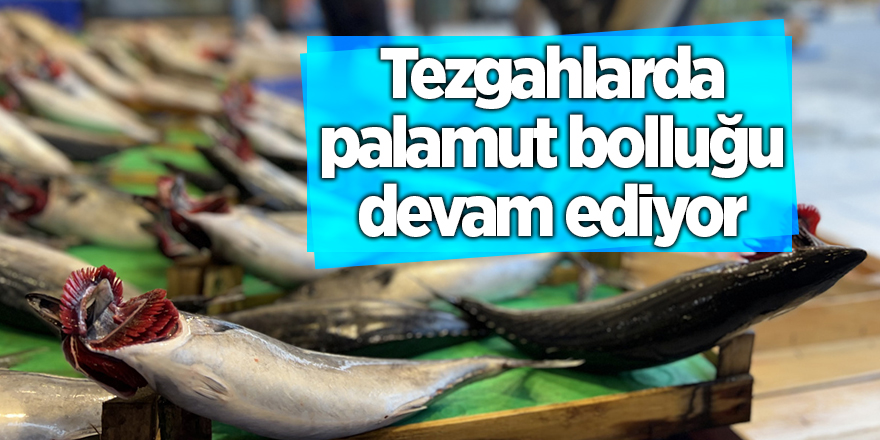 Tezgahlarda palamut bolluğu devam ediyor