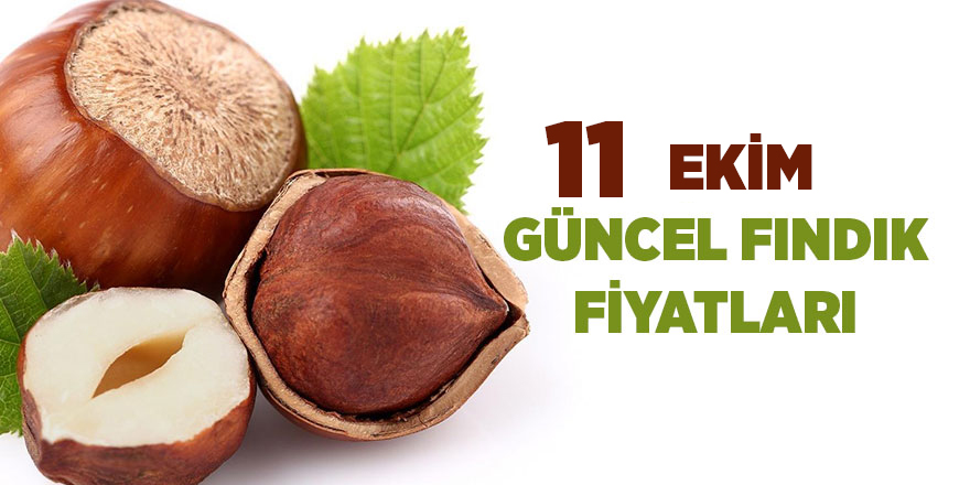 11 Ekim güncel fındık fiyatları