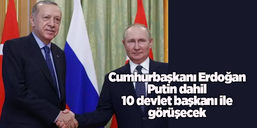 Cumhurbaşkanı Erdoğan Putin dahil 10 devlet başkanı ile görüşecek