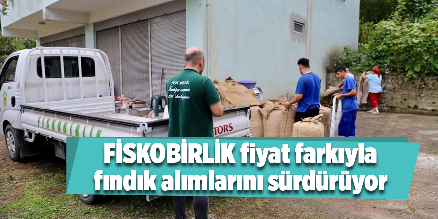 FİSKOBİRLİK fiyat farkıyla fındık alımlarını sürdürüyor