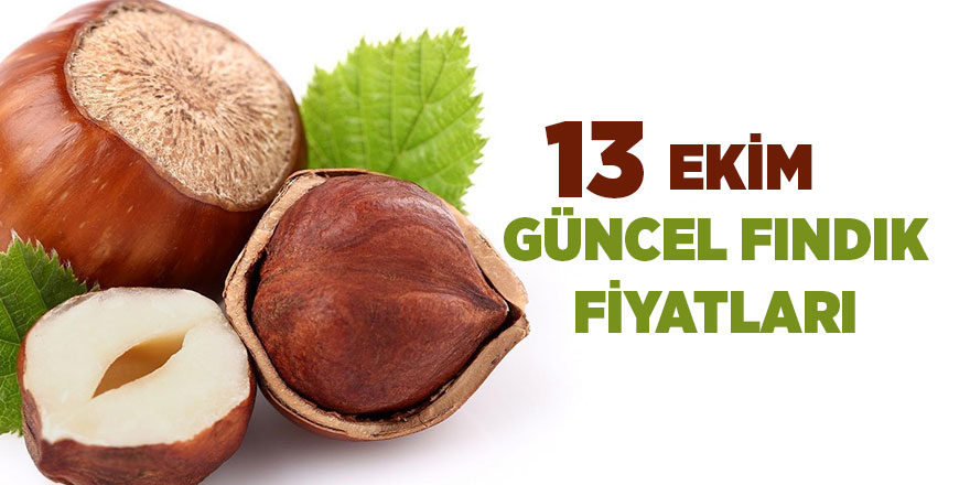 13 Ekim güncel fındık fiyatları