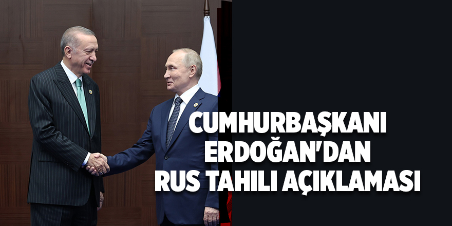 Cumhurbaşkanı Erdoğan'dan Rus tahılı açıklaması