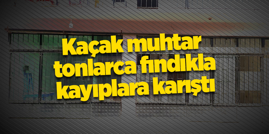 Kaçak muhtar tonlarca fındıkla kayıplara karıştı