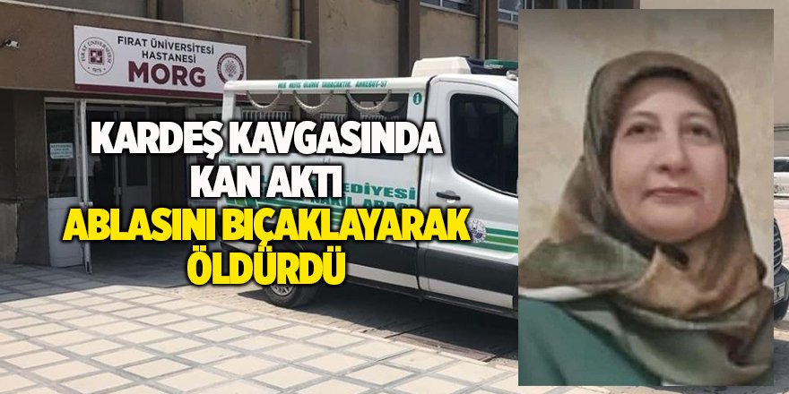 Kardeş kavgasında kan aktı Ablasını bıçaklayarak öldürdü