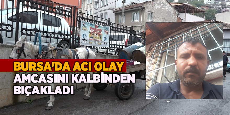 Bursa'da acı olay!  Amcasını kalbinden bıçakladı